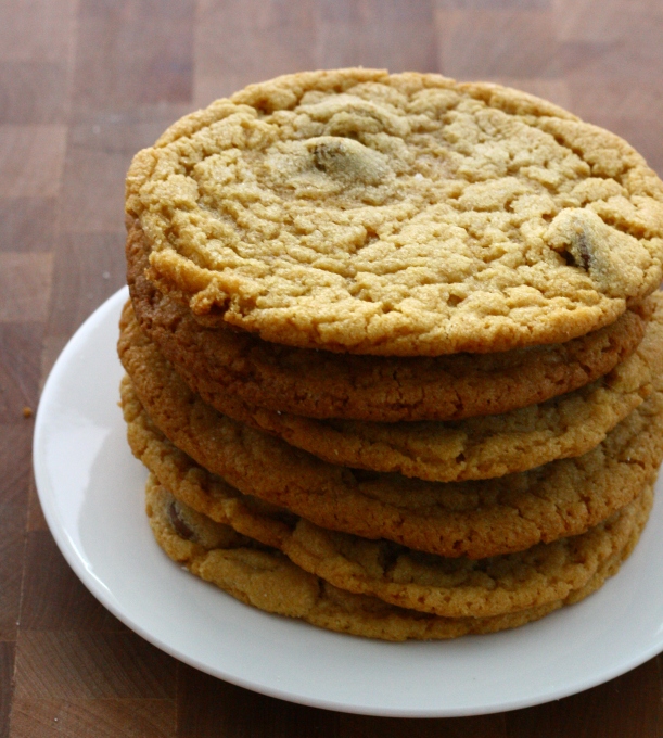 peanut butter chocolate chip cookies | baked with love by doughseedough.net