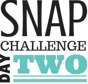 SNAP Challenge Day 2 | doughseedough.net