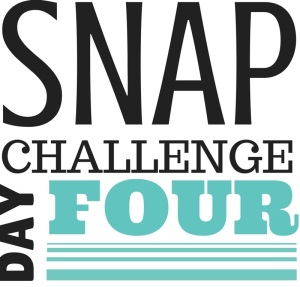 SNAP Challenge Day 4 | doughseedough.net