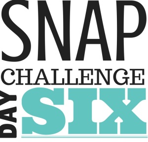 SNAP Challenge Day 6 | doughseedough.net