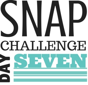 SNAP Challenge Day 7 | doughseedough.net